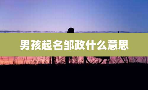 男孩起名邹政什么意思