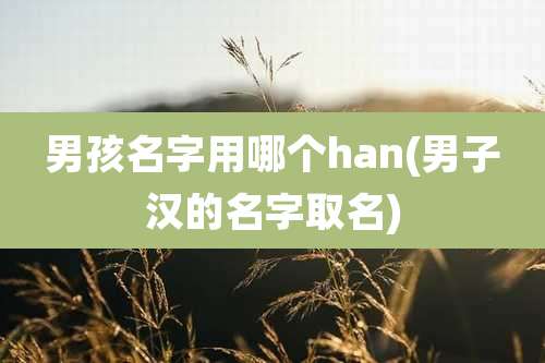 男孩名字用哪个han(男子汉的名字取名)
