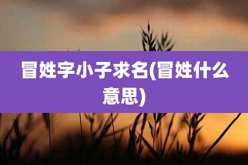 冒姓字小子求名(冒姓什么意思)