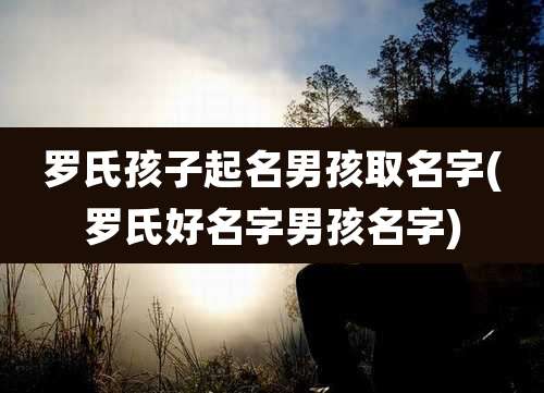 罗氏孩子起名男孩取名字(罗氏好名字男孩名字)