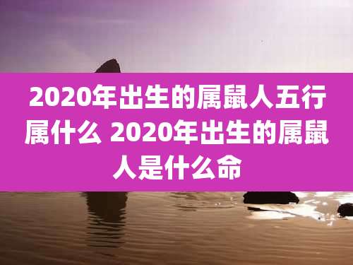 2020年出生的属鼠人五行属什么 2020年出生的属鼠人是什么命