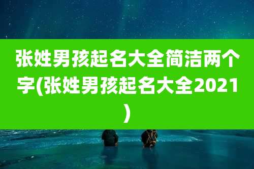 张姓男孩起名大全简洁两个字(张姓男孩起名大全2021)