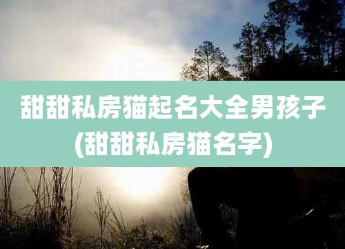 甜甜私房猫起名大全男孩子(甜甜私房猫名字)