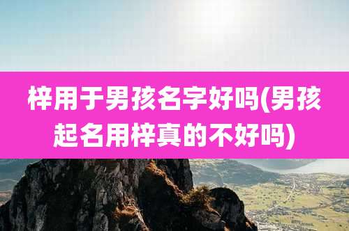 梓用于男孩名字好吗(男孩起名用梓真的不好吗)