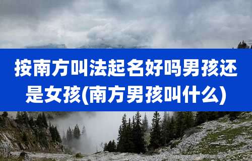 按南方叫法起名好吗男孩还是女孩(南方男孩叫什么)