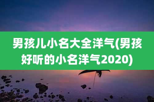 男孩儿小名大全洋气(男孩好听的小名洋气2020)