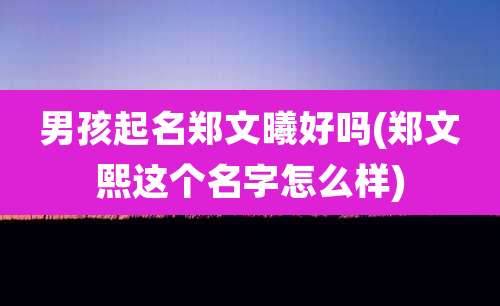 男孩起名郑文曦好吗(郑文熙这个名字怎么样)
