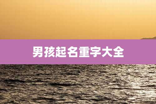 男孩起名重字大全