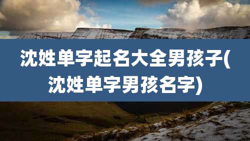 沈姓单字起名大全男孩子(沈姓单字男孩名字)