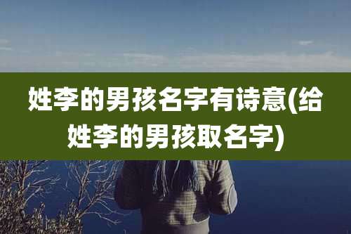 姓李的男孩名字有诗意(给姓李的男孩取名字)