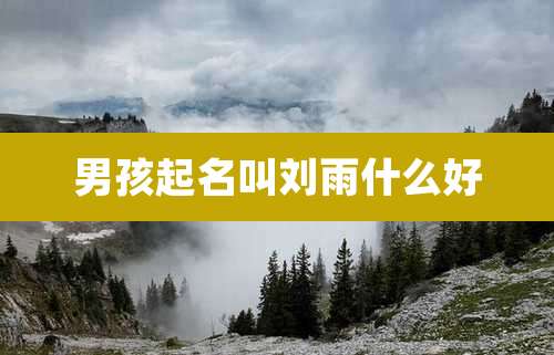 男孩起名叫刘雨什么好