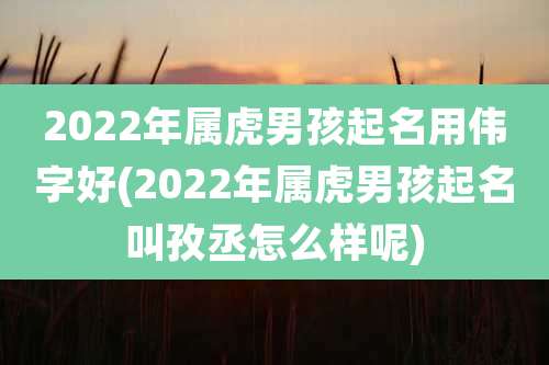 2022年属虎男孩起名用伟字好(2022年属虎男孩起名叫孜丞怎么样呢)