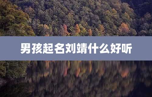 男孩起名刘靖什么好听