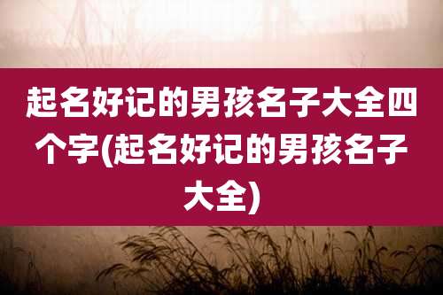 起名好记的男孩名子大全四个字(起名好记的男孩名子大全)