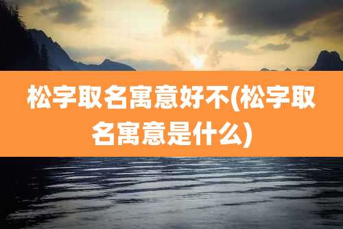 松字取名寓意好不(松字取名寓意是什么)