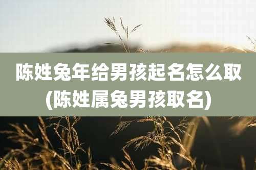 陈姓兔年给男孩起名怎么取(陈姓属兔男孩取名)