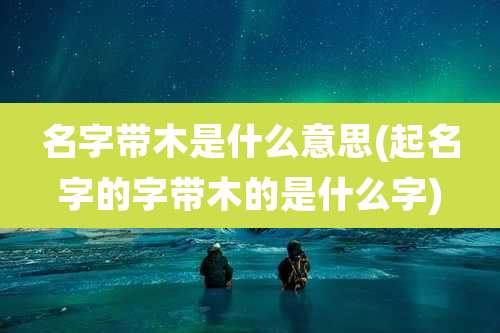 名字带木是什么意思(起名字的字带木的是什么字)
