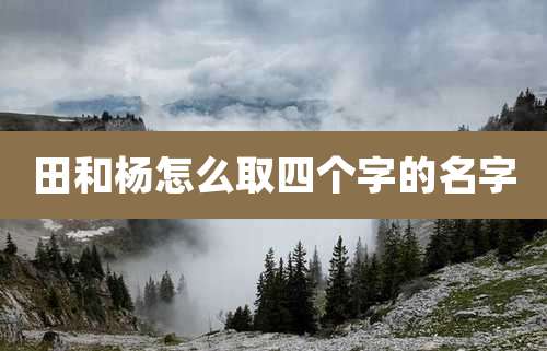 田和杨怎么取四个字的名字