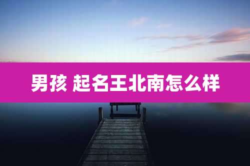 男孩 起名王北南怎么样