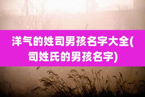 洋气的姓司男孩名字大全(司姓氏的男孩名字)