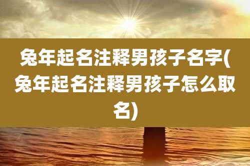 兔年起名注释男孩子名字(兔年起名注释男孩子怎么取名)