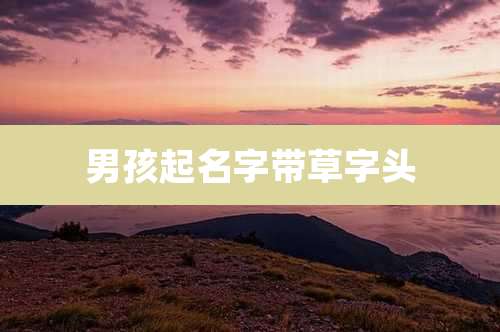 男孩起名字带草字头