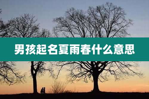 男孩起名夏雨春什么意思