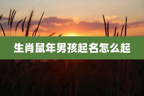 生肖鼠年男孩起名怎么起