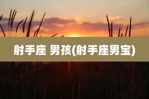 射手座 男孩(射手座男宝)