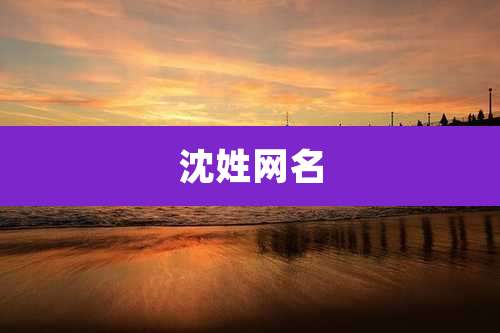 沈姓网名