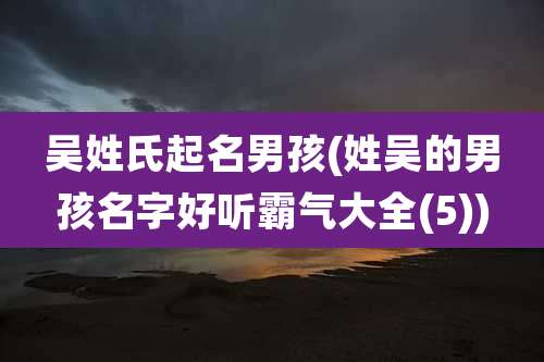 吴姓氏起名男孩(姓吴的男孩名字好听霸气大全(5))