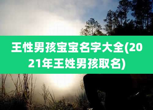 王性男孩宝宝名字大全(2021年王姓男孩取名)