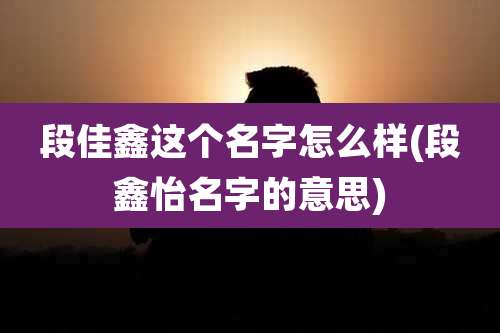 段佳鑫这个名字怎么样(段鑫怡名字的意思)