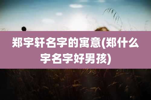 郑宇轩名字的寓意(郑什么宇名字好男孩)