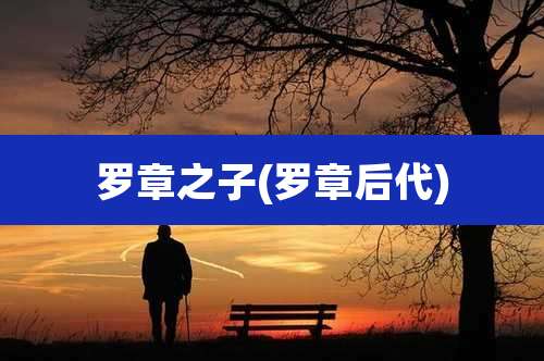 罗章之子(罗章后代)