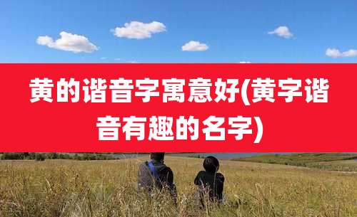 黄的谐音字寓意好(黄字谐音有趣的名字)