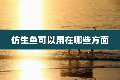 仿生鱼可以用在哪些方面