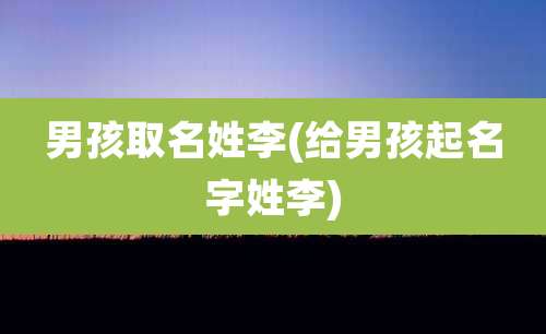 男孩取名姓李(给男孩起名字姓李)