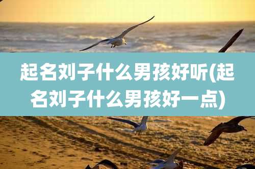 起名刘子什么男孩好听(起名刘子什么男孩好一点)