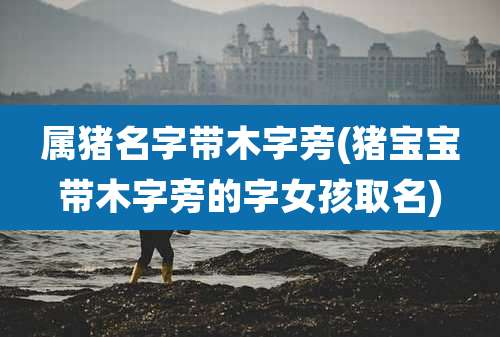 属猪名字带木字旁(猪宝宝带木字旁的字女孩取名)