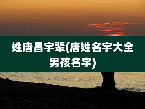 姓唐昌字辈(唐姓名字大全男孩名字)