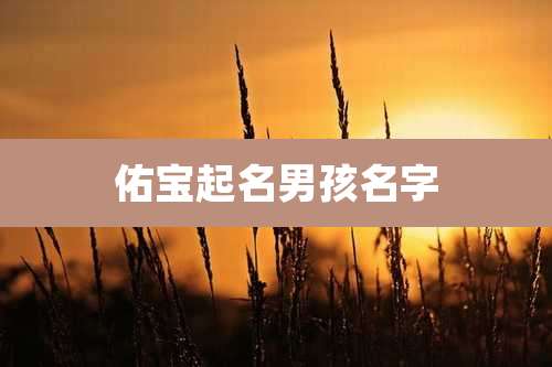 佑宝起名男孩名字