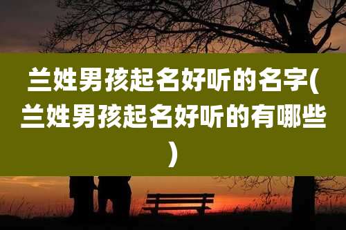 兰姓男孩起名好听的名字(兰姓男孩起名好听的有哪些)