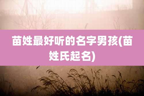 苗姓最好听的名字男孩(苗姓氏起名)