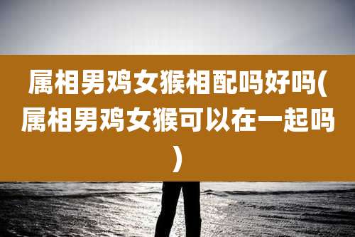 属相男鸡女猴相配吗好吗(属相男鸡女猴可以在一起吗)