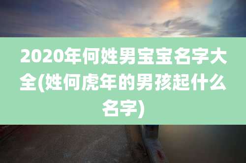 2020年何姓男宝宝名字大全(姓何虎年的男孩起什么名字)