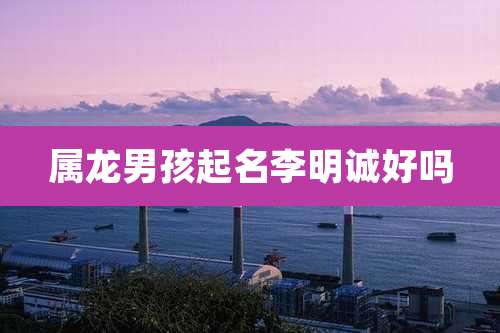 属龙男孩起名李明诚好吗
