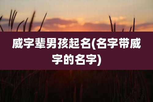 威字辈男孩起名(名字带威字的名字)