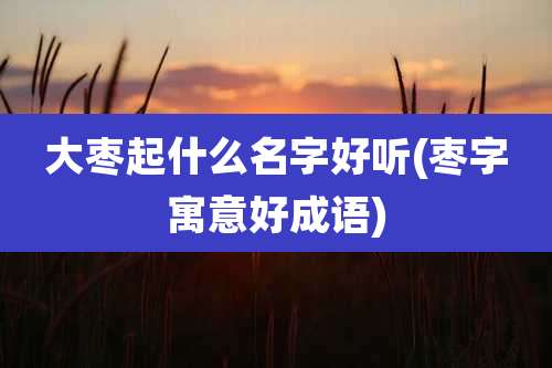 大枣起什么名字好听(枣字寓意好成语)