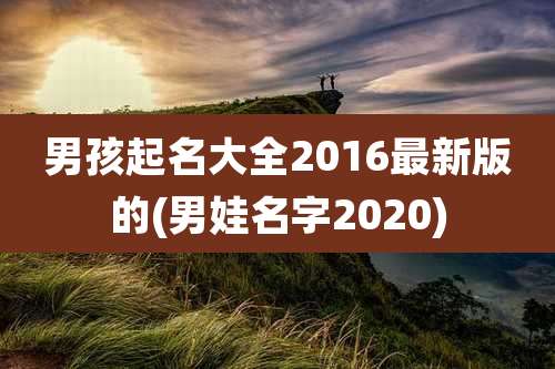 男孩起名大全2016最新版的(男娃名字2020)
